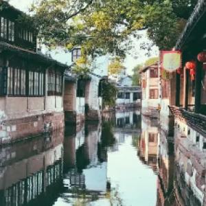 毛豆怎么煮不发黄游戏画面